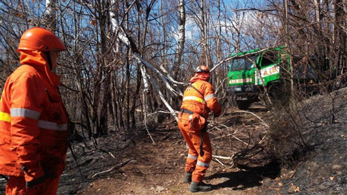 Legge regionale 4 ottobre 2018, n. 15. Chiusura stato di massima pericolosità per gli incendi boschivi su tutto il territorio regionale del Piemonte a partire dal giorno 11 settembre 2026.